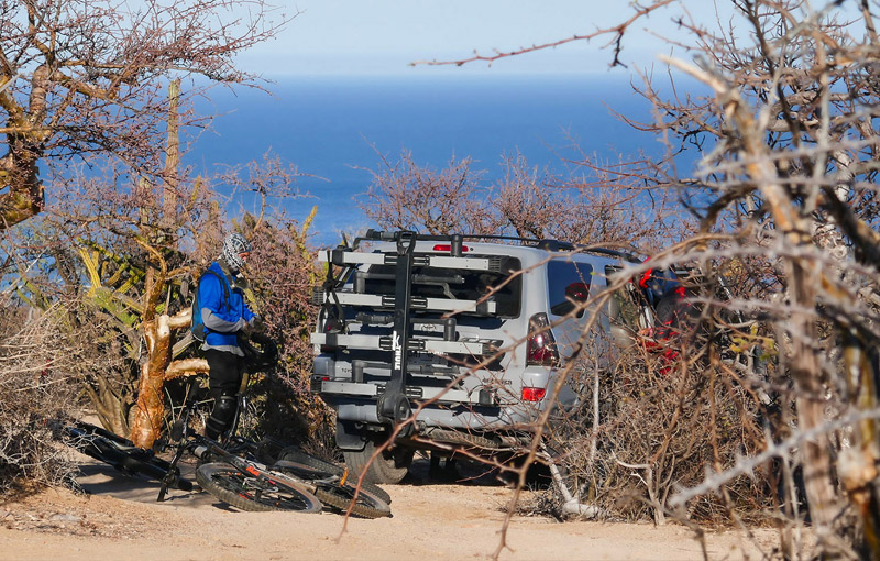 FALCON BIKE TOURS EXPERIENCE SAN JOSE DEL CABO AIRPORT BCS FALCON BIKE TOURS EXPERIENCE SAN JOSE DEL CABO AIRPORT BCS