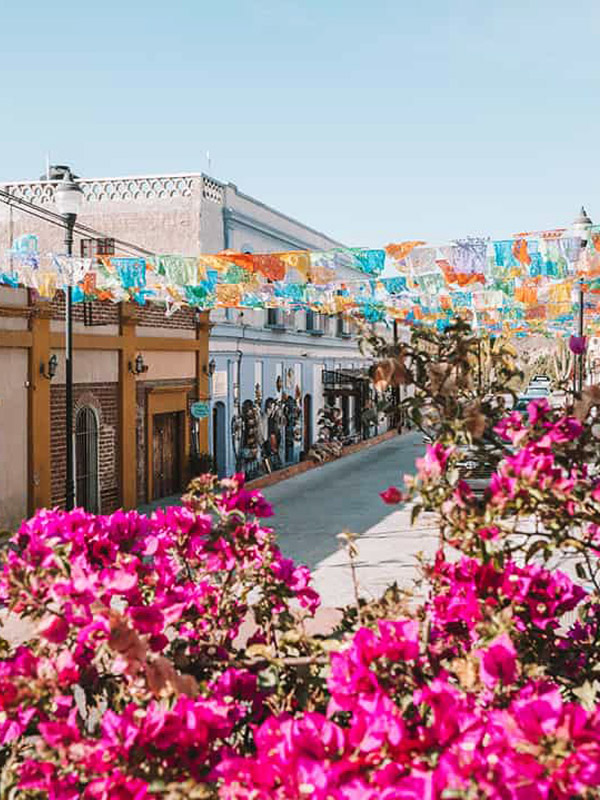 FALCON BIKE TOURS TODOS SANTOS DAWNTOWN FALCON BIKE TOURS TODOS SANTOS DAWNTOWN